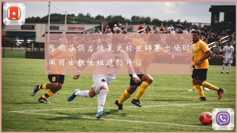 陈雨菲伤后恢复良好世锦赛出场时间将由教练组进行评估